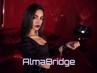 AlmaBridge