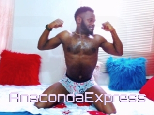 AnacondaExpress