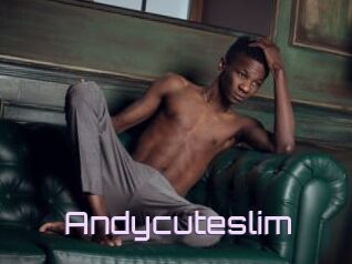 Andycuteslim