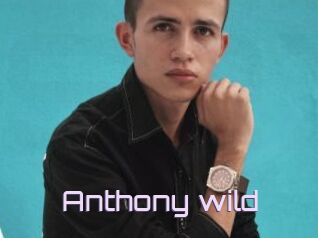 Anthony_wild