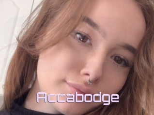 Accabodge