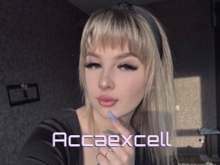 Accaexcell