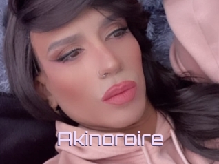 Akinoroire