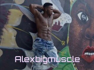 Alexbigmuscle