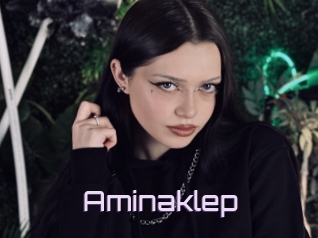 Aminaklep