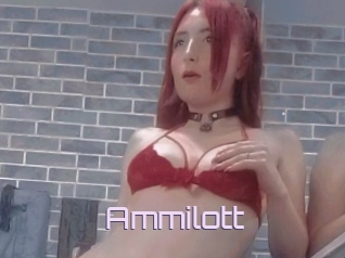 Ammilott