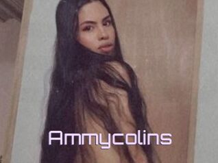 Ammycolins