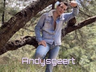 Andysgeert