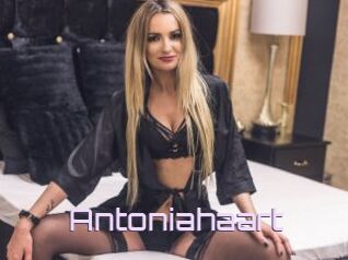 Antoniahaart