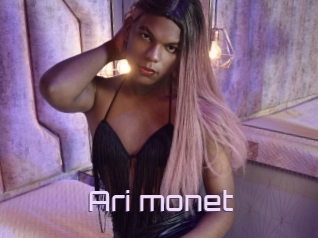 Ari_monet