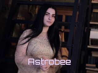 Astrobee