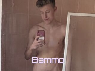 Bammo