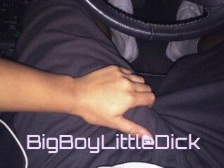 BigBoyLittleDick