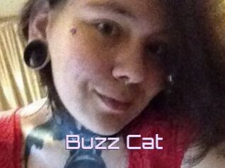 Buzz_Cat