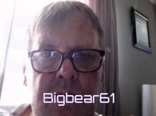 Bigbear61