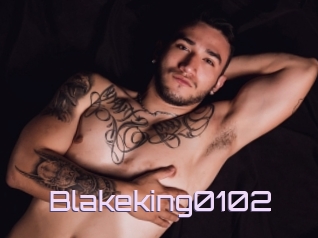 Blakeking0102