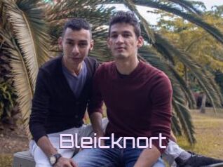 Bleicknort