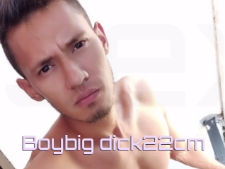 Boybig_dick22cm