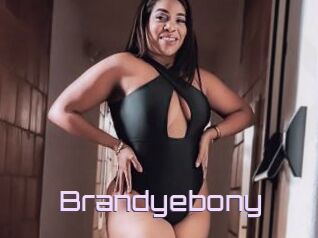 Brandyebony