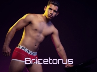 Bricetorus