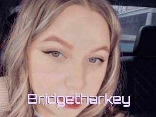 Bridgetharkey