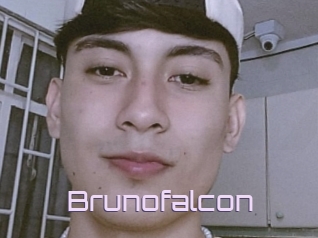 Brunofalcon