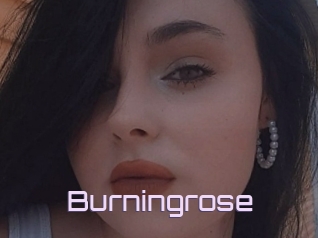 Burningrose