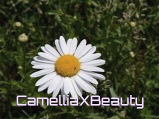 Camellia_XBeauty