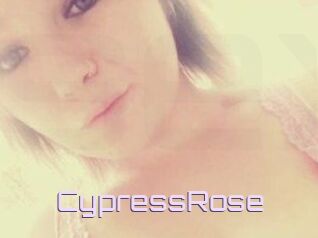 Cypress_Rose