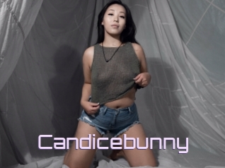 Candicebunny