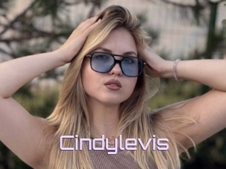 Cindylevis