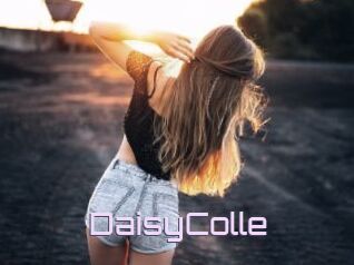 DaisyColle