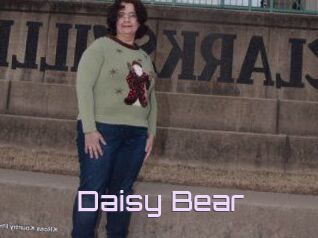 Daisy_Bear