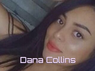 Dana_Collins