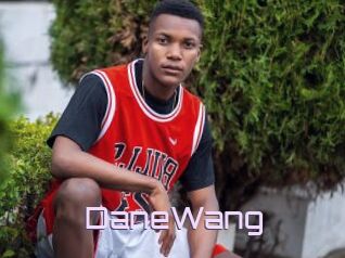 DaneWang