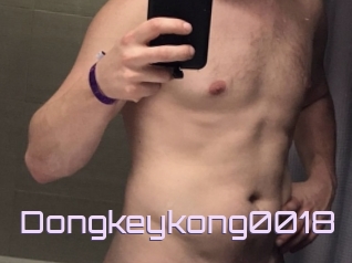 Dongkeykong0018