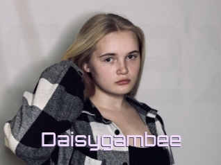 Daisygambee