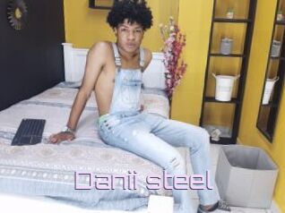 Danii_steel