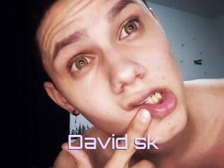 David_sk