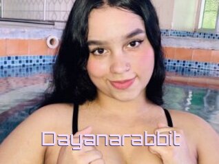 Dayanarabbit