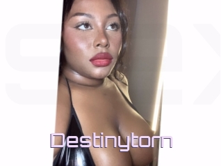 Destinytorn