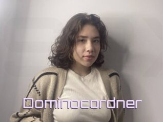 Dominocordner