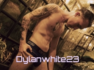 Dylanwhite23