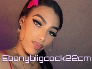 Ebonybiigcock22cm