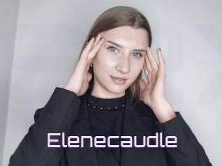 Elenecaudle