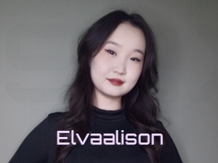 Elvaalison