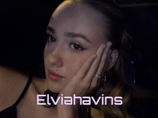 Elviahavins