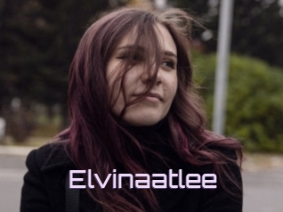 Elvinaatlee