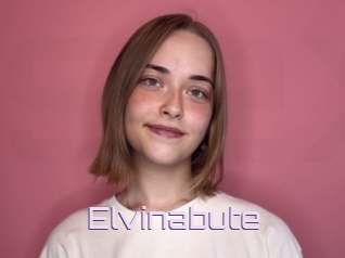 Elvinabute