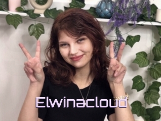 Elwinacloud